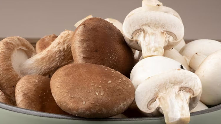 Медики назвали грибы, замедляющие старение.