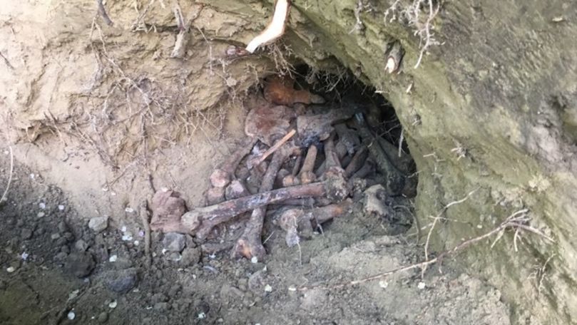 Un craniu de om, găsit în spatele Ambasadei SUA la Chișinău
