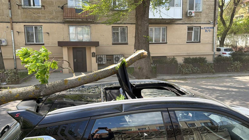 Упавшее дерево повредило панорамную крышу припаркованного автомобиля.