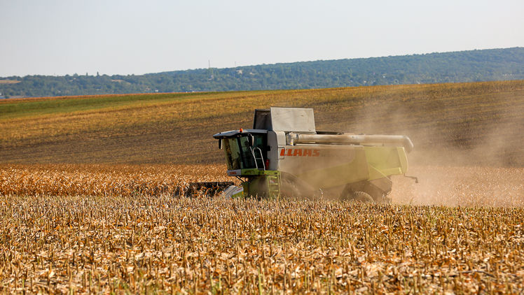 Modul de repartizare a celor 100 de milioane de lei pentru agricultori