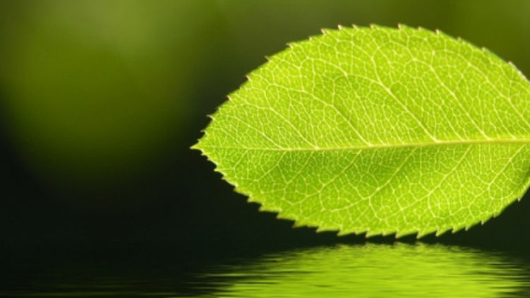 Молдова отмечает Европейскую зеленую неделю.