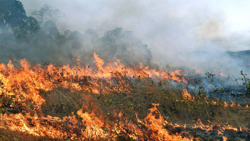 Codul Galben de pericol de incendiu în R. Moldova a fost prelungit