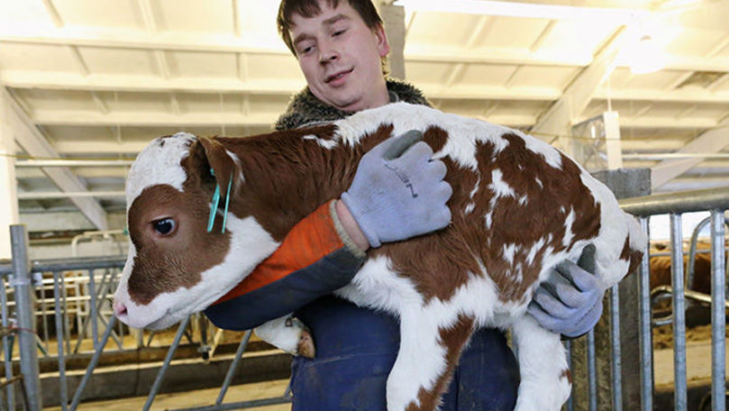 Минсельхоз предложит внести изменения в Закон о санитарно-ветеринарной деятельности.