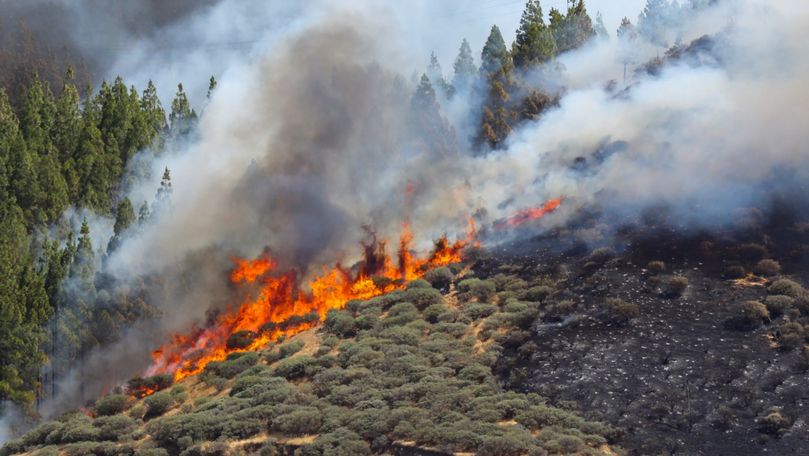 Imagini spectaculoase din satelit cu incendiul din insula Gran Canaria