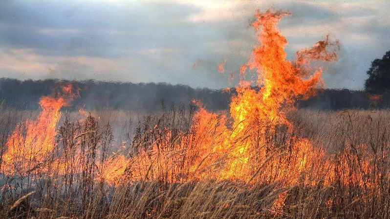 IGSU atenționează despre riscul izbucnirii incendiilor de vegetație