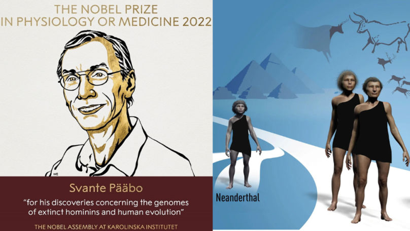Cercetătorul suedez Svante Pääbo a primit Premiul Nobel pentru Medicină