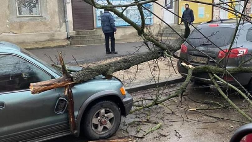 Un copac a căzut peste o maşină pe strada Columna din Chişinău