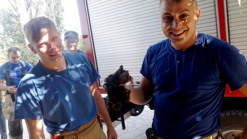 Pompierii au salvat o pisică blocată într-o țeavă din Capitală