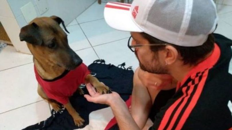 Un brazilian refuză meciul de viață ca să-și salveze câinele