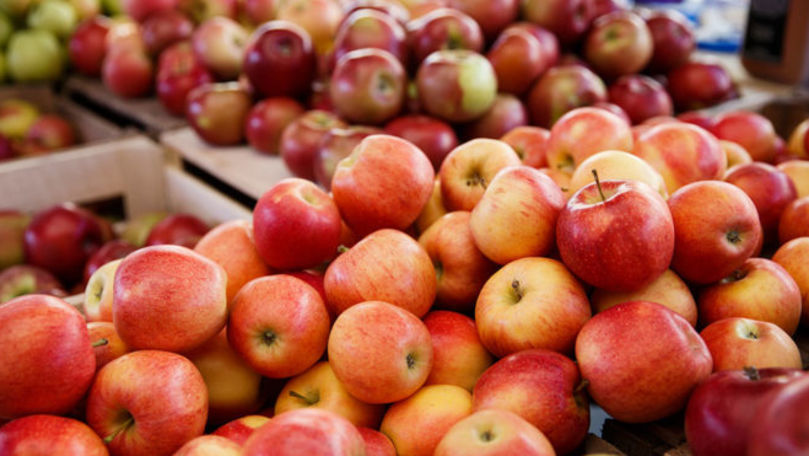 Оптимисты считают, что есть основания надеяться на достаточно высокий урожай – порядка 600-650 тысяч тонн. 