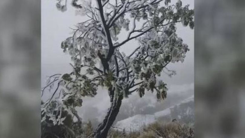 Fenomene meteo bizare. Fulgi de nea într-un paradis tropical