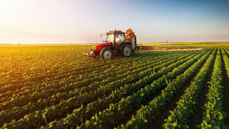 În R. Moldova vor fi create camere agricole destinate fermierilor