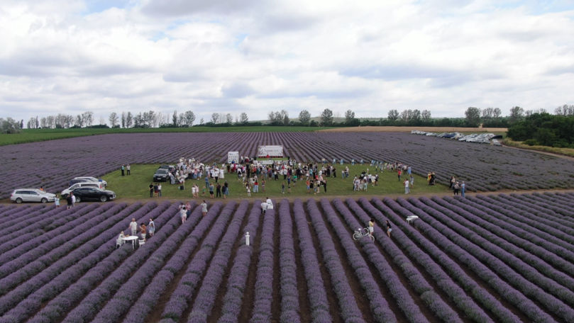 Parfum, tradiții și voie bună: La Cuconeștii Noi a avut loc Lavanda Fest