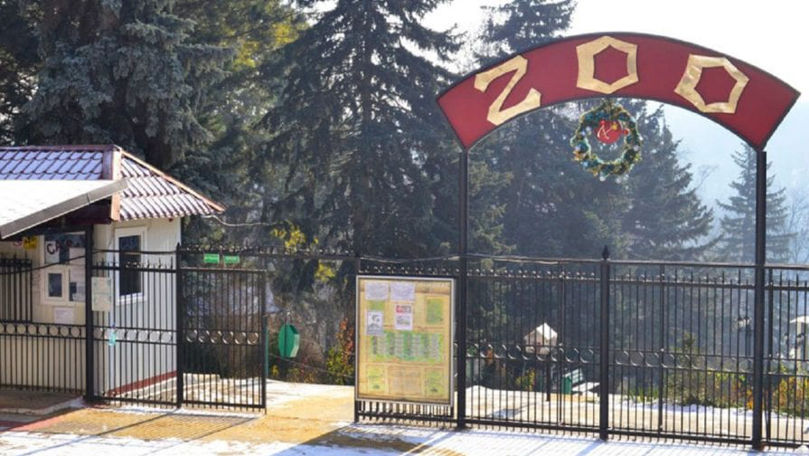 Administrația Zoo Chișinău, acuzată că a creat fermă de iepuri și capre