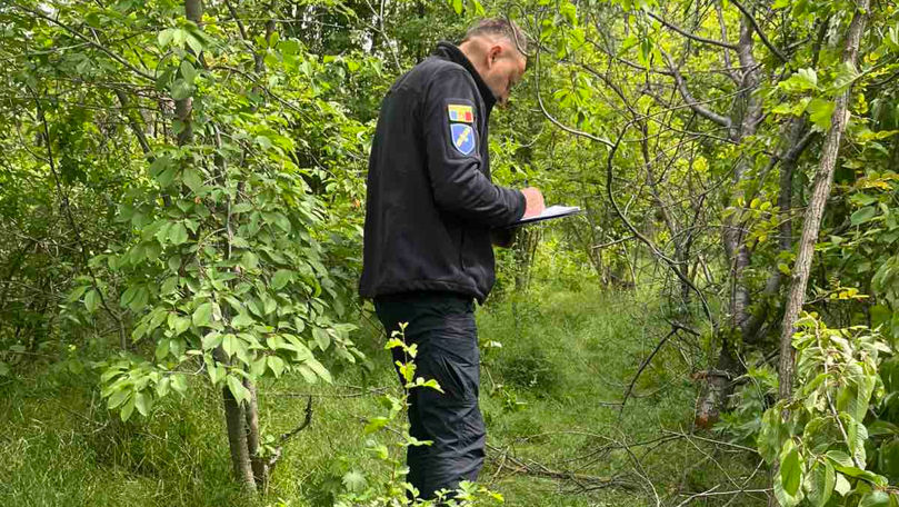 Tăieri ilegale de arbori la Izvoare: Doi făptași, amendați
