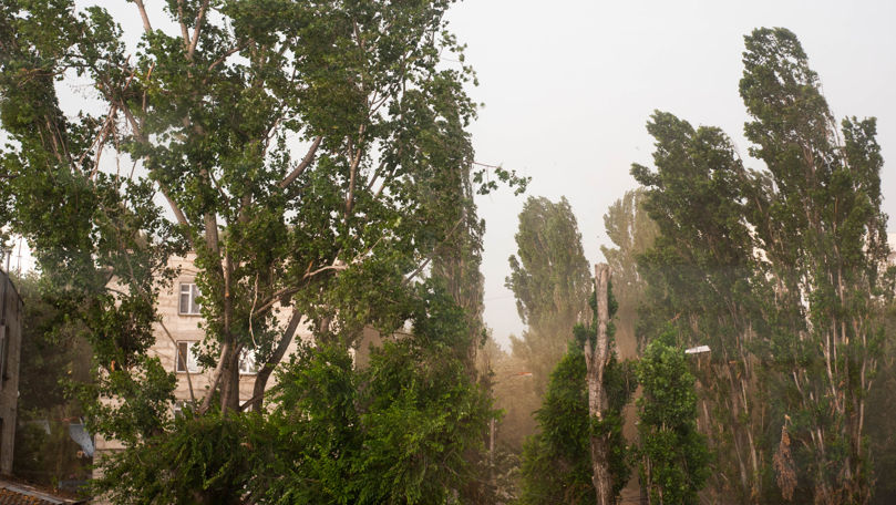 Alertă meteo: Cod Galben de vânt puternic în toată țara
