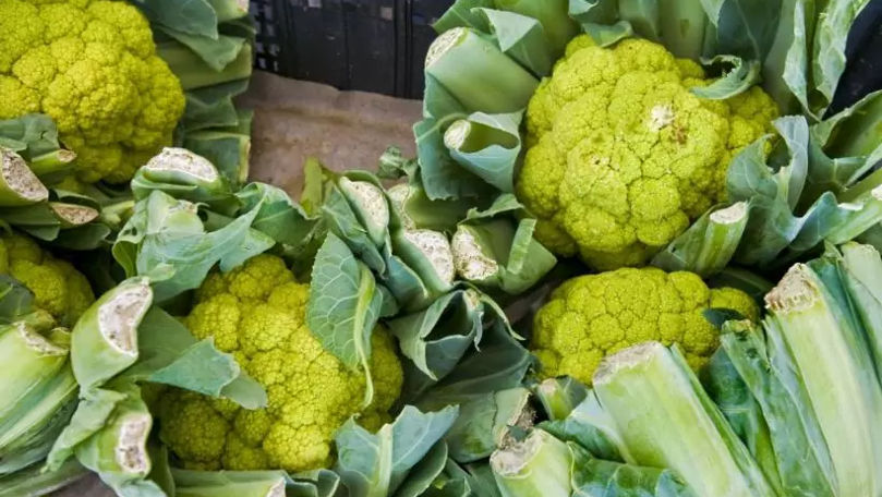 Dieta verde încetineşte evoluţia cancerului de prostată