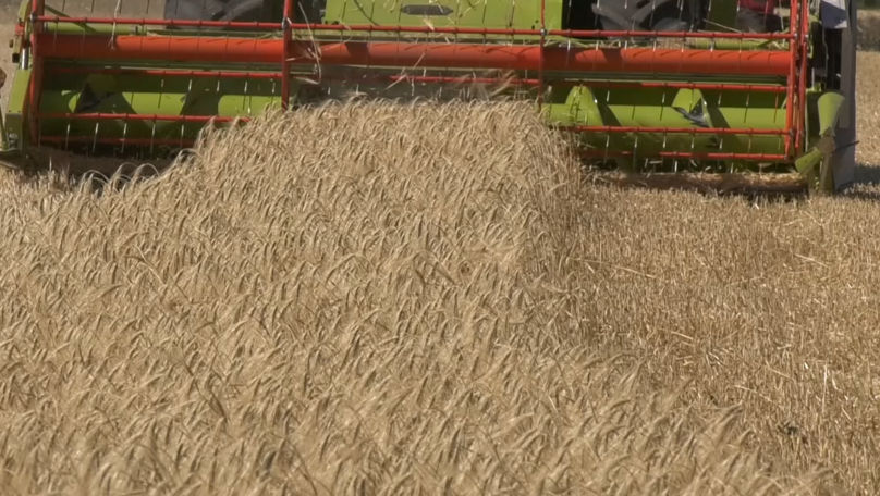 Recoltarea cerealelor este în toi: Agricultorii sunt plini de speranță