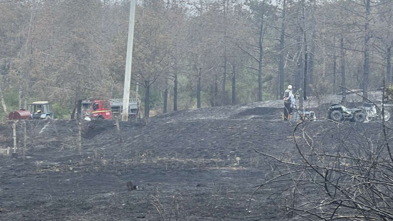 Căușeni: Două persoane și zeci de hectare de pădure, salvate de pompieri