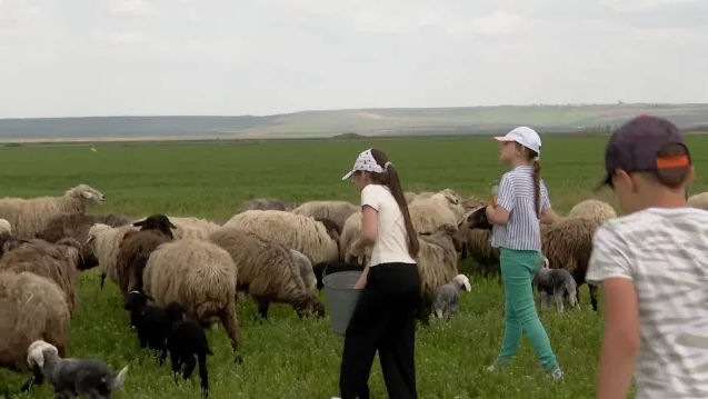 O stână din Orhei, transformată în atracție turistică pentru copii