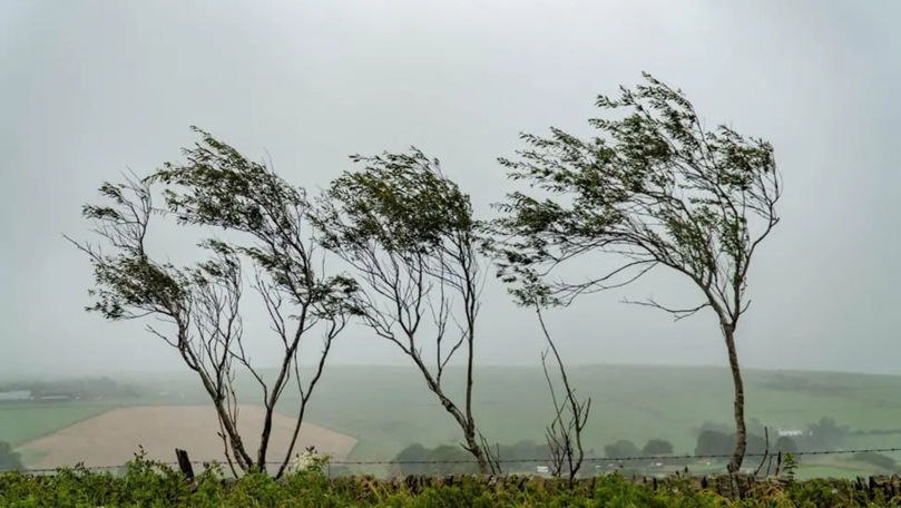Alertă meteo: Cod Galben de vânt puternic în toată Republica Moldova
