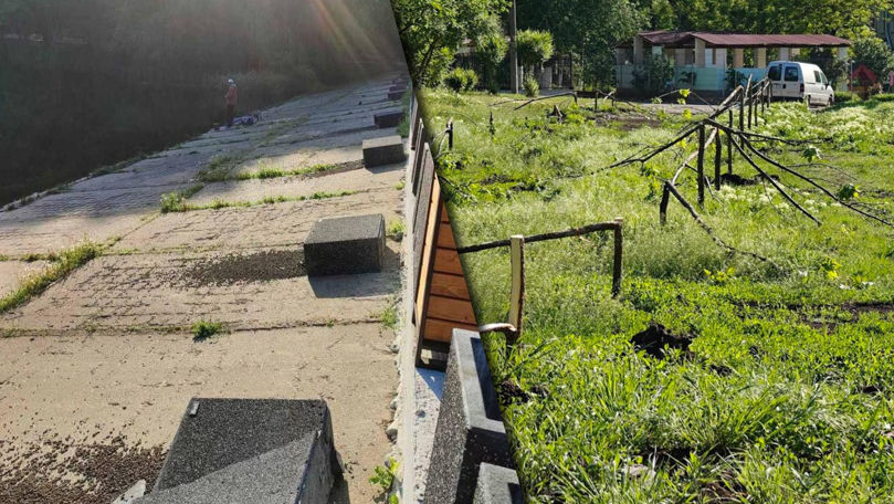 Vandalism în Capitală: Mai mulți copaci, rupți. Reacția lui Ion Ceban