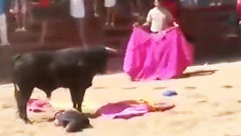 Очевидцы пытались отвлечь внимание быка, однако ни крики, ни свист не помогали. 