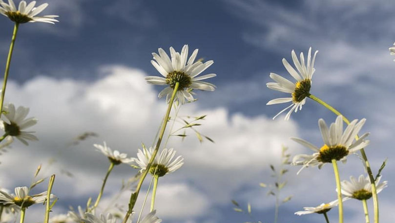 Meteo 30 aprilie 2025: Ultima zi din aprilie ne aduce un pic de nori