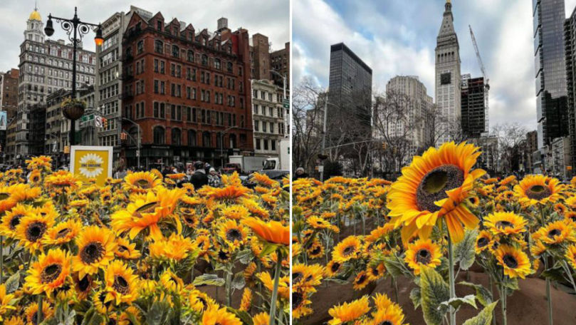 Ziua Unității Ucrainene, marcată la New York printr-o expoziție de flori