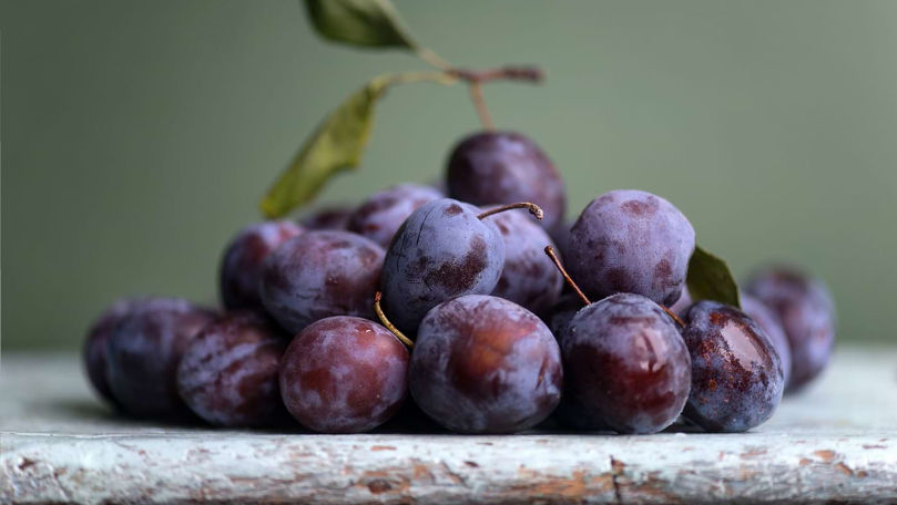 R. Moldova a devenit lider în Europa la exportul de prune proaspete