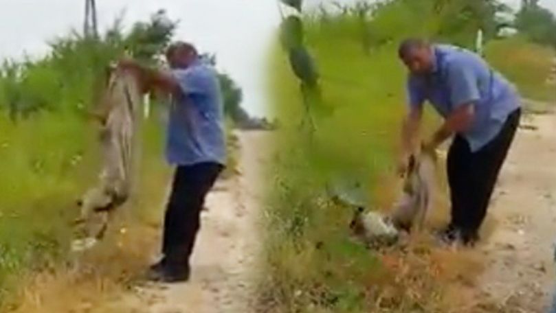 Bărbat înfuriat, filmat cum își bate câinele cu cruzime la Orhei
