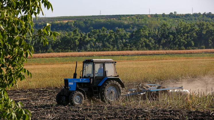 Măsuri de sprijin pentru fermierii afectați de secetă