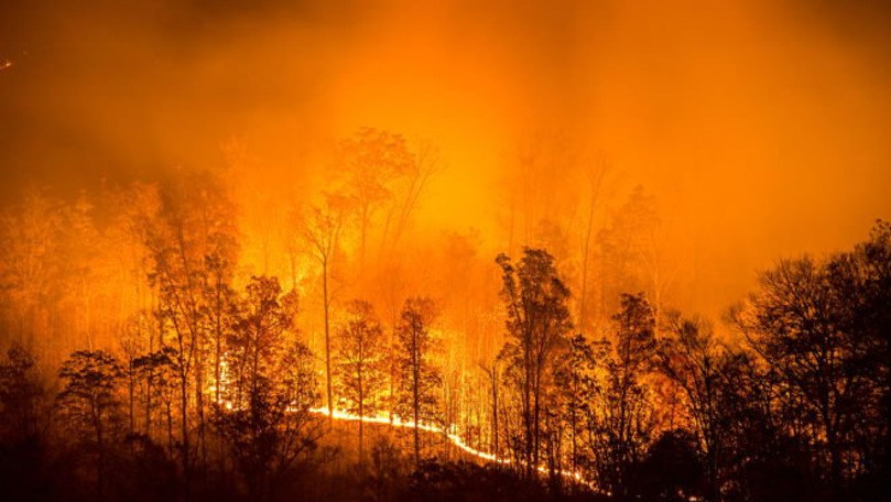 Apocalipsa din Siberia: Focul arde pe 4,5 milioane ha de pădure