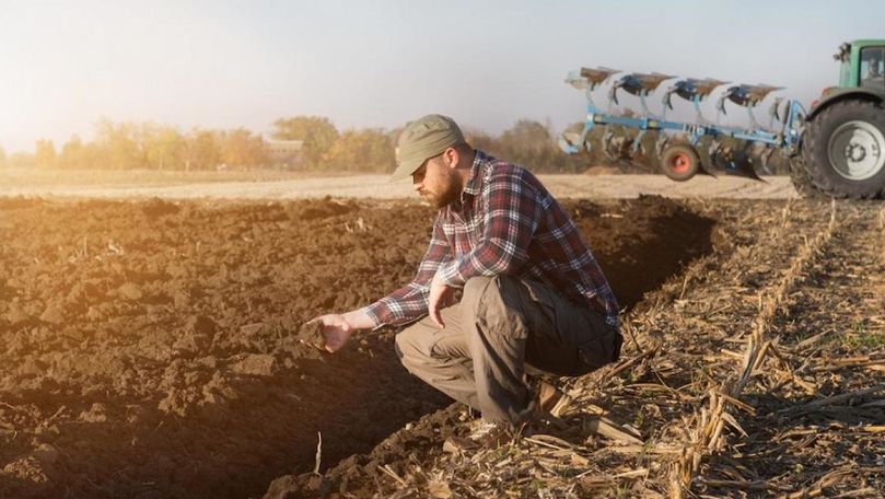 Сельхозпроизводители запросили гранты в размере 1,18 млрд леев.