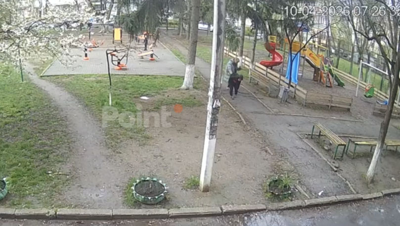 Vecinii, îngrijorați de cazul atacului unei haite de câini asupra unui copil: Era foarte speriat.