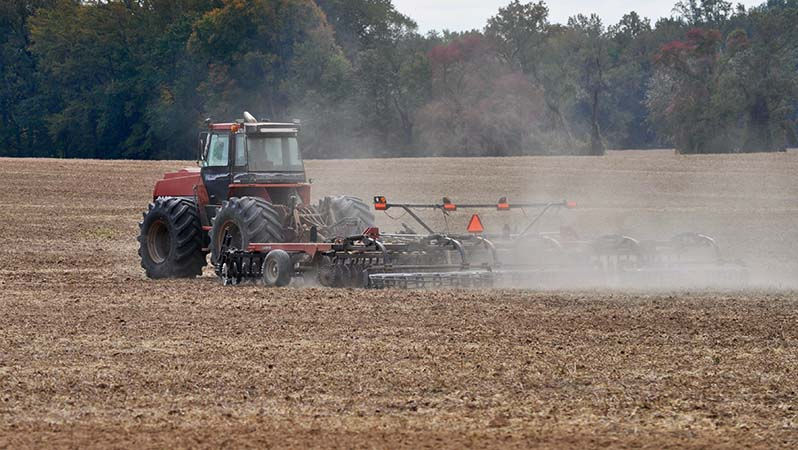 MAIA dezminte zvonurile despre achiziția terenurilor agricole de străini