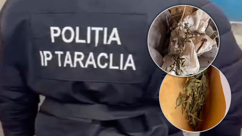 Droguri, descoperite la domiciliile a cinci persoane din Taraclia