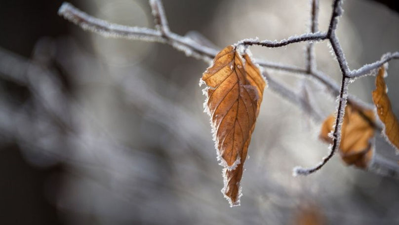 Meteo 8 decembrie 2022: Cer noros și fără precipitații în toată țara