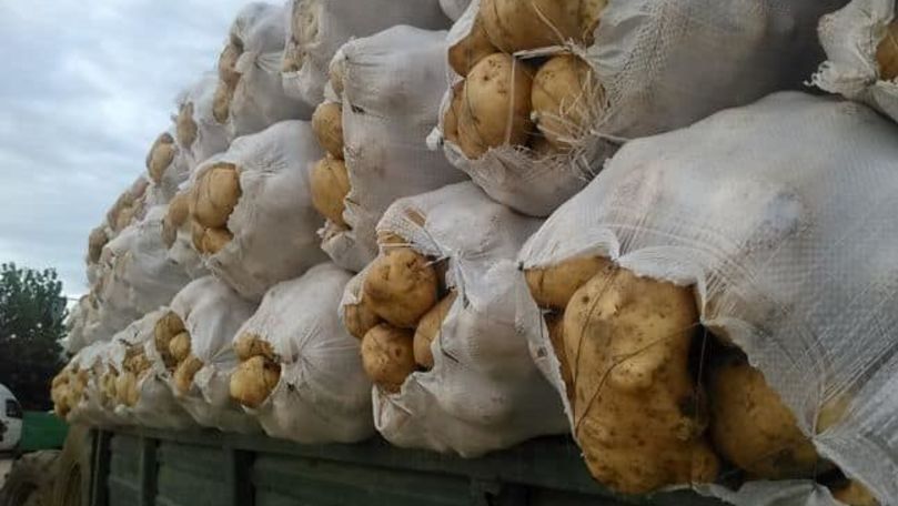 Camioane misterioase cu cartofi la vamă: ANSA se contrazice