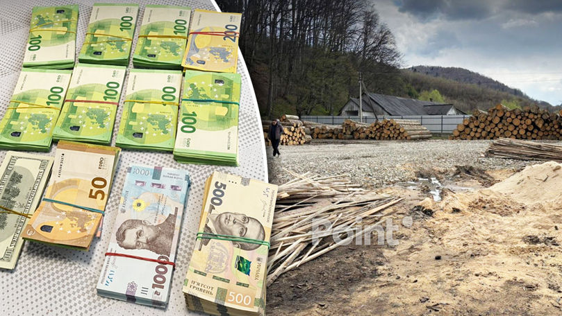 В Украине ликвидировали канал незаконного вывоза древесины в Молдову.
