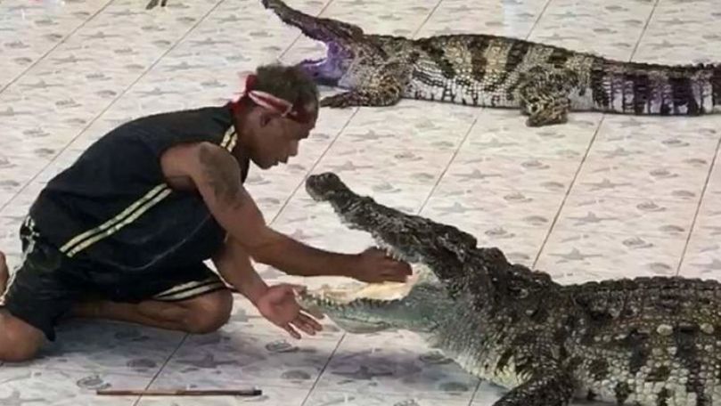 A vrut să arate că își poate băga mâna în gura unui crocodil