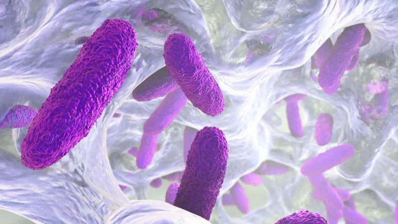 A fost găsit virusul care distruge bacteriile rezistente la antibiotice