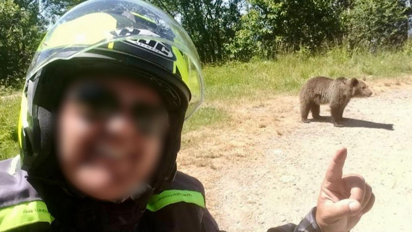 Momentul în care un italian este ucis de o ursoaică pe Transfăgărăşan
