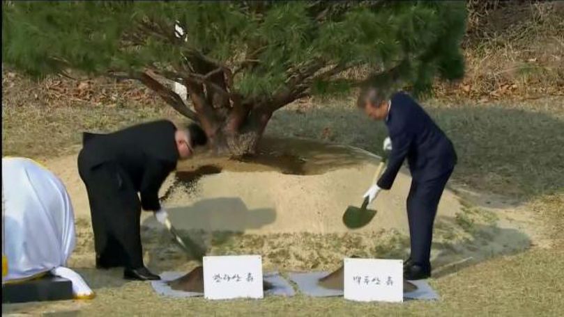 Cei doi președinți coreeni au plantat un copac al păcii