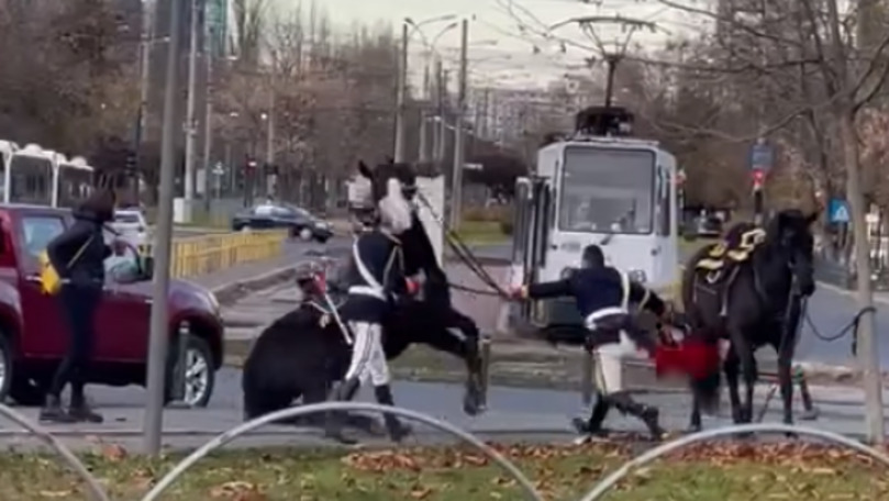 Un jandarm, filmat cum cade de pe cal în timp ce încerca să-l încalece