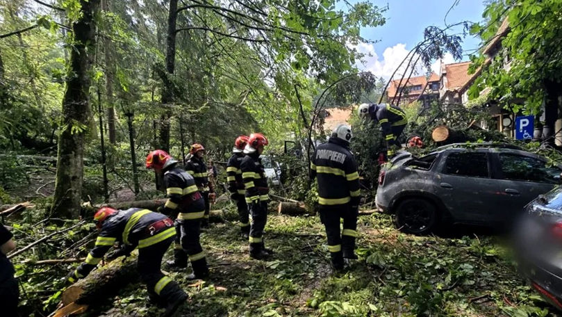 Furtunile puternice au făcut ravagii în câteva județe din România