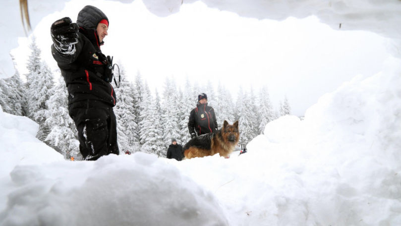 Tineri îngropați de avalanșă, găsiți de câinii lor care lătrau