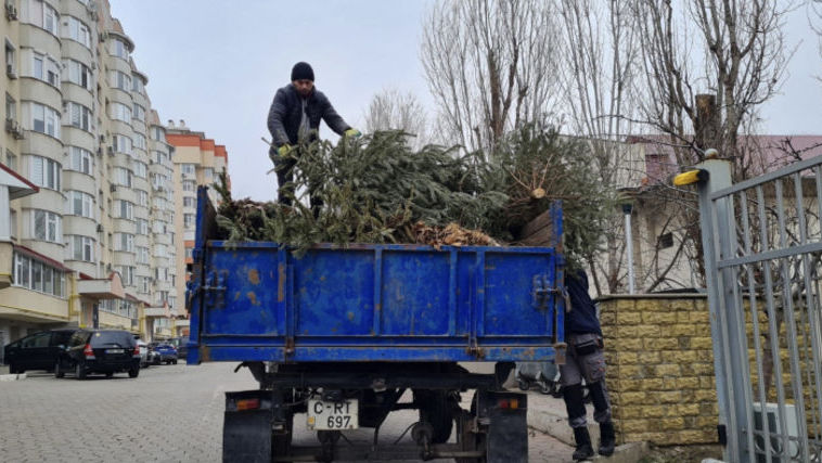 Brazii utilizați de cetățeni în perioada sărbătorilor vor fi reciclați