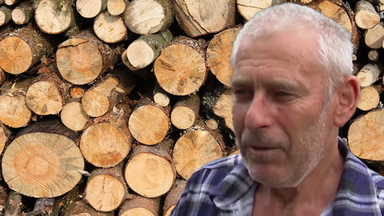 Жители села Рэчула недовольны способом покупки дров по сниженной цене. Коллаж: Point.md