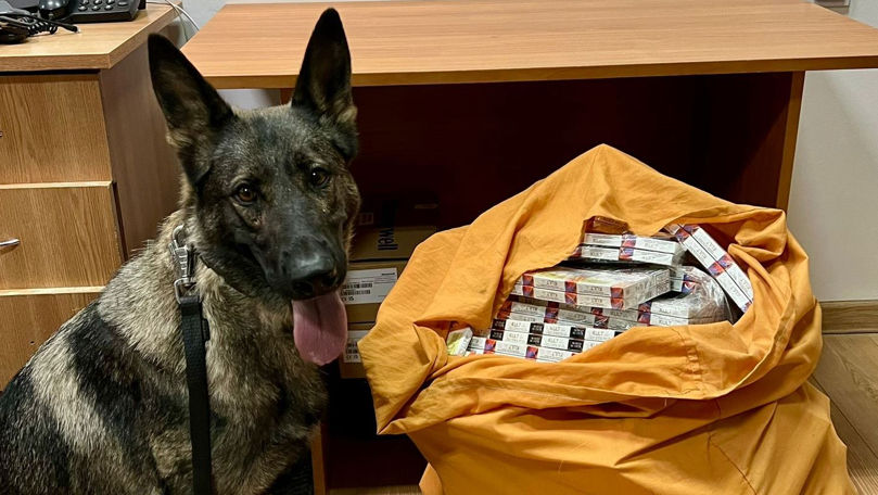 В Унгенах таможенники обнаружили сигареты, спрятанные в потолке вагона.